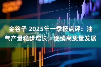 金谷子 2025年一季报点评：油气产量稳步增长，继续高质量发展