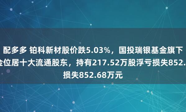 配多多 铂科新材股价跌5.03%，国投瑞银基金旗下1只基金位居十大流通股东，持有217.52万股浮亏损失852.68万元